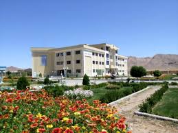 یادگار ماندگار: قبولی‌های کانونی دانشگاه تربت حیدریه در سال 1403