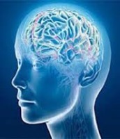 تقویت و افزایش هوش هیجانی