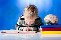 راهنمای یادگیری سریع همه چیز