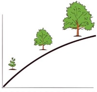 سری مقالات 50 ایده روانشناسی- ایده دوازدهم، مراحل شناختی