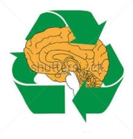 چرا اطلاعات بدون بازیابی را فراموش می‌کنیم؟