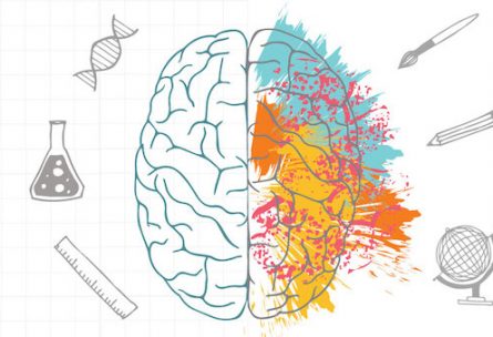 سری مقالات 50 ایده روانشناسی- ایده 46 ام، جداسازی
