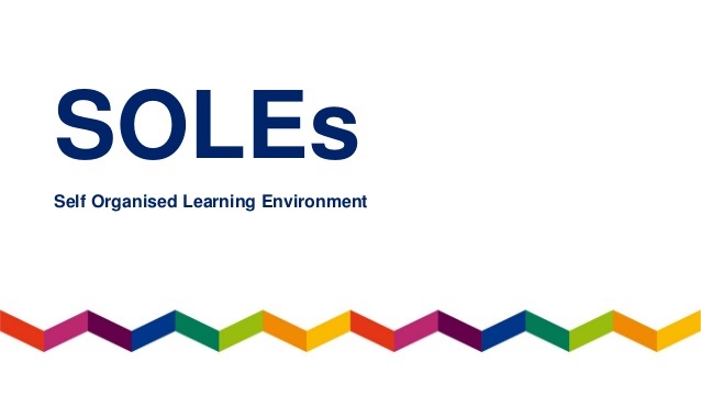 منظور از محیط آموزشی خود سازمان یافته چیست ؟