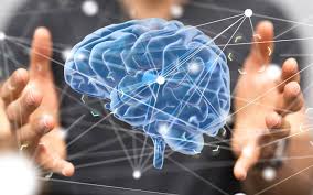 چگونه بر استرس آزمون چیره شویم؟ (بخش دوم)