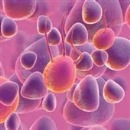 انیمیشن حرکت مولکولها