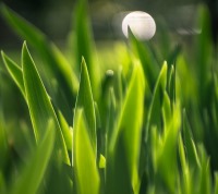 مشابهت آزمون‌های کانون با کنکور 94- زیست شناسی