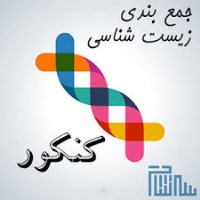 علی کرامت:جمع بندی نکته‌های کلیه و حرکت