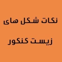 نکات شکل‌های زیست کنکور/گیاهی دوم، شارش، آغازیان و قارچ‌ها