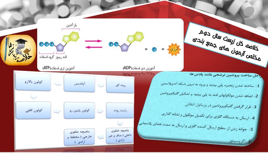 خلاصه کل کتاب زیست شناسی سال دوم مختص دوران جمع بندی