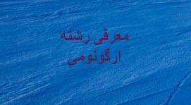 معرفی رشته ارگونومی