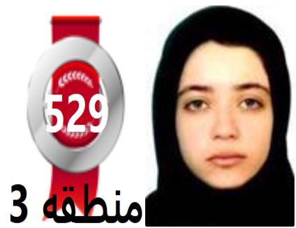 گفتگو‌های رتبه‌ی 529م.3 رشته‌ی تجربی از مهران بادانش آموزان