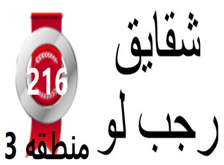 گفتگو‌های رتبه‌ی 216م.3 رشته‌ی زبان از گنبد بادانش آموزان