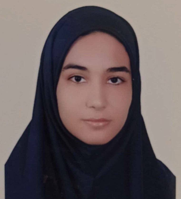 روش مطالعه ادبیات مبینا منظوری رتبه 51 منطقه دو کنکور انسانی