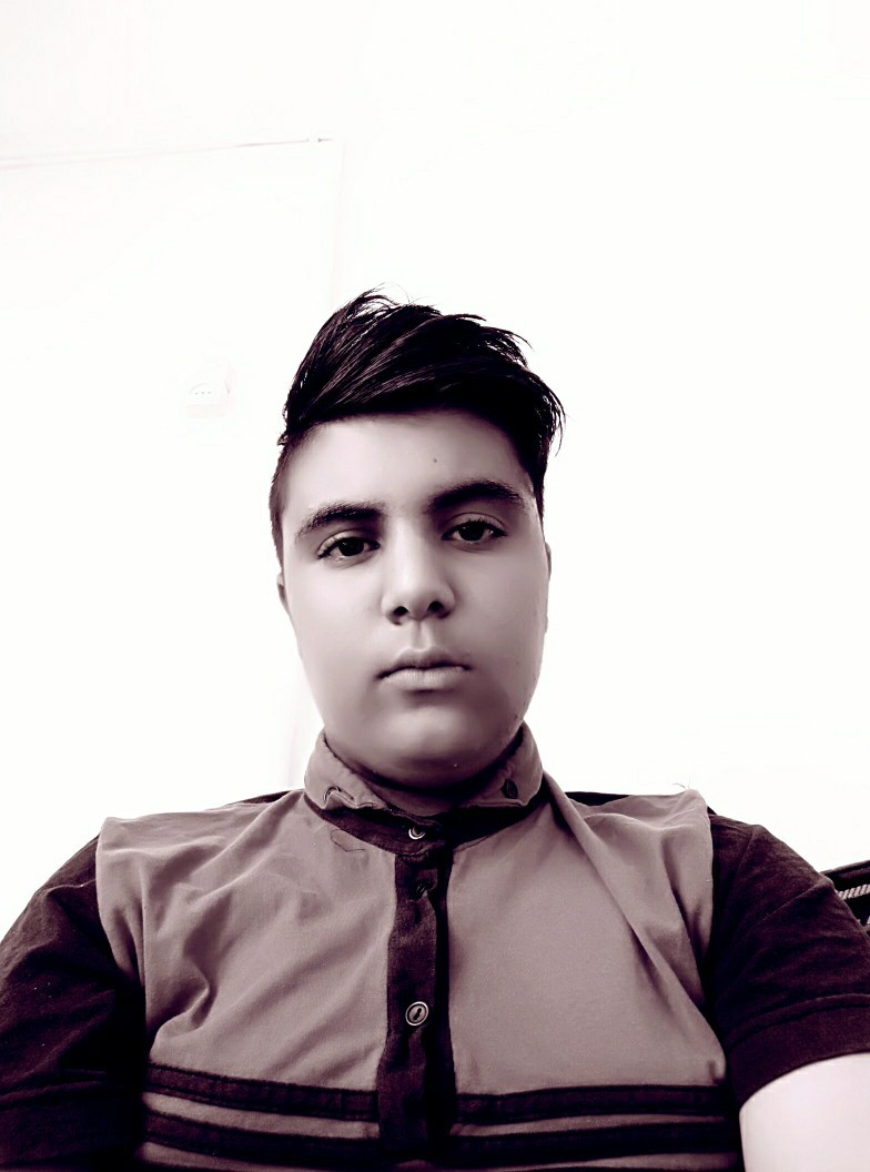 محمد مهدی زاده:تابستان سال دوازدهم را جدی گرفتم