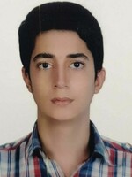 روش مطالعه قهرمان پیشرفت، آریا فریدون نیا، در هندسه و فیزیک