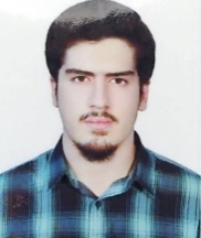 امیر کسری شاهین زاده، قهرمان پیوستگی، نمودار پیشرفت در 4 سال