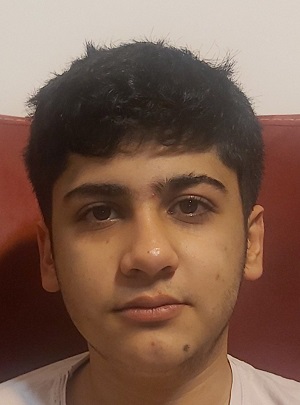 ماهان معصوم‌زاده، قهرمان پیوستگی،نمودار پیشرفت در1سال،30 آزمون