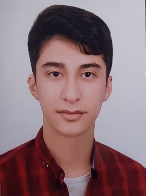 ایلیا فرصتی، قهرمان پیوستگی، نمودار پیشرفت در 2 سال، 72 آزمون