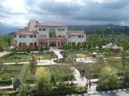 یادگار ماندگار:قبولی‌های کانونی دانشگاه آمل درسال 1404