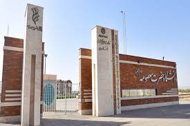 یادگار ماندگار: قبولی‌های کانونی دانشگاه حضرت معصومه قم سال 1404