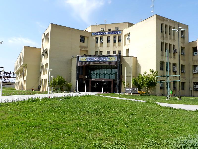 یادگار ماندگار:قبولی‌های کانونی دانشگاه بهبهان درسال 1404