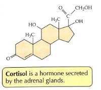 کورتیزول یا هورمون استرس