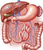 گوارش (110 تست با پاسخ کاملاً تشریحی)