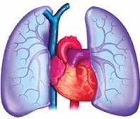 تست های آمادگی آزمون 3 شهریور زیست شناسی 1