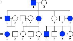 علی کرامت: آموزش نکته‌های دودمانه