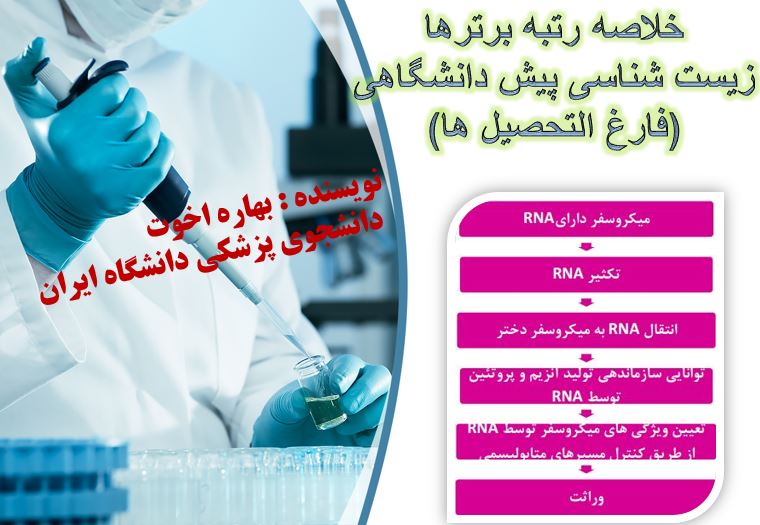 خلاصه زیست پیش دانشگاهی مختص آزمون 4 آبان