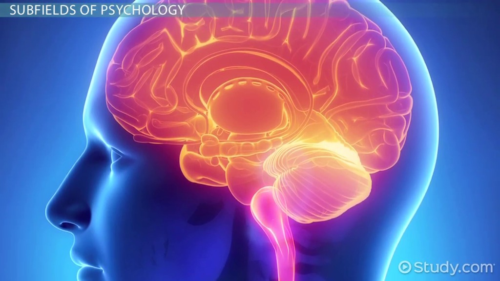 درسنامه روانشناسی یازدهم (تصمیم گیری)