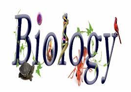 جمع بندی حرکت - زیست شناسی فارغ التحصیلان تجربی