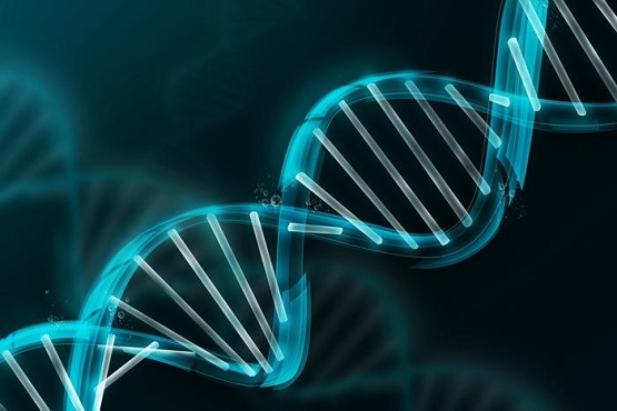 سوالات پیشنهادی رتبه‌های برتر در درس زیست ویژه آزمون 15 آذر