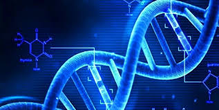 تست ژنتیک - نظام قدیم تجربی