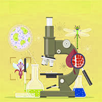 امیررضا گراوند : جمع بندی نکات فصل چهارم زیست دهم (گردش مواد)