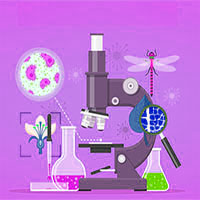 امیررضا گراوند : جمع بندی نکات فصل چهارم زیست دوازدهم (تغییر در اطلاعات وراثتی)