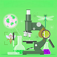 امیررضا گراوند : جمع بندی نکات فصل ششم زیست دهم (از یاخته تا گیاه)