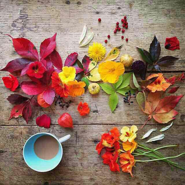 کامنت های مثبت و موثر شما به انتخاب شیلا کیانی99/1/25