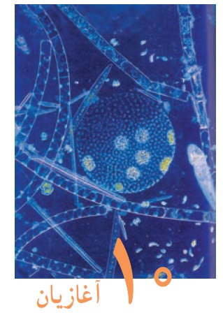 موشکافی زیست‌شناسی - فاطمه ریگ‌آبادی - آغازیان