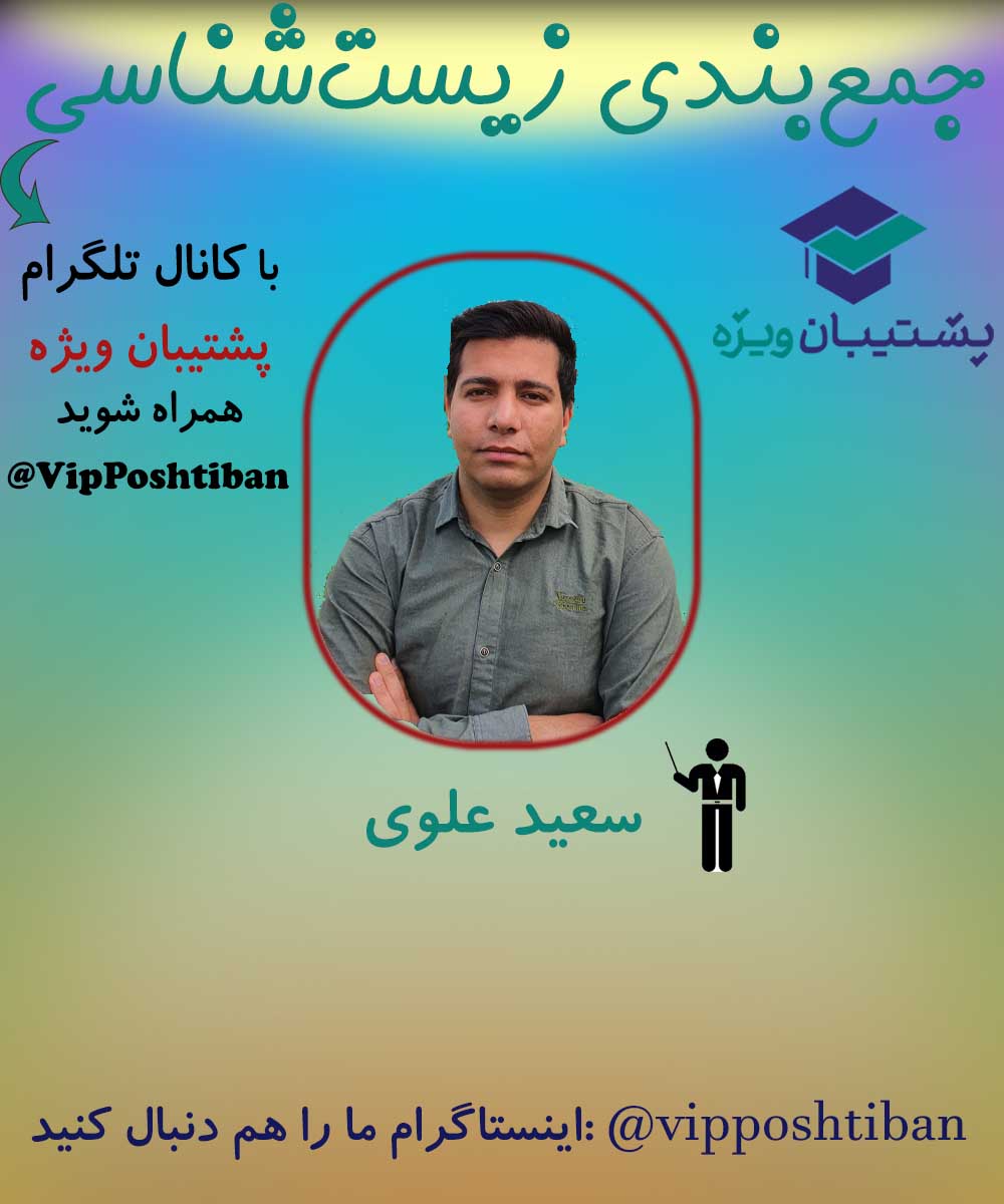 جمع بندی حشرات