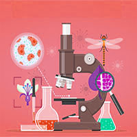 امیررضا گراوند : جمع بندی نکات فصل سوم زیست یازدهم (دستگاه حرکتی)