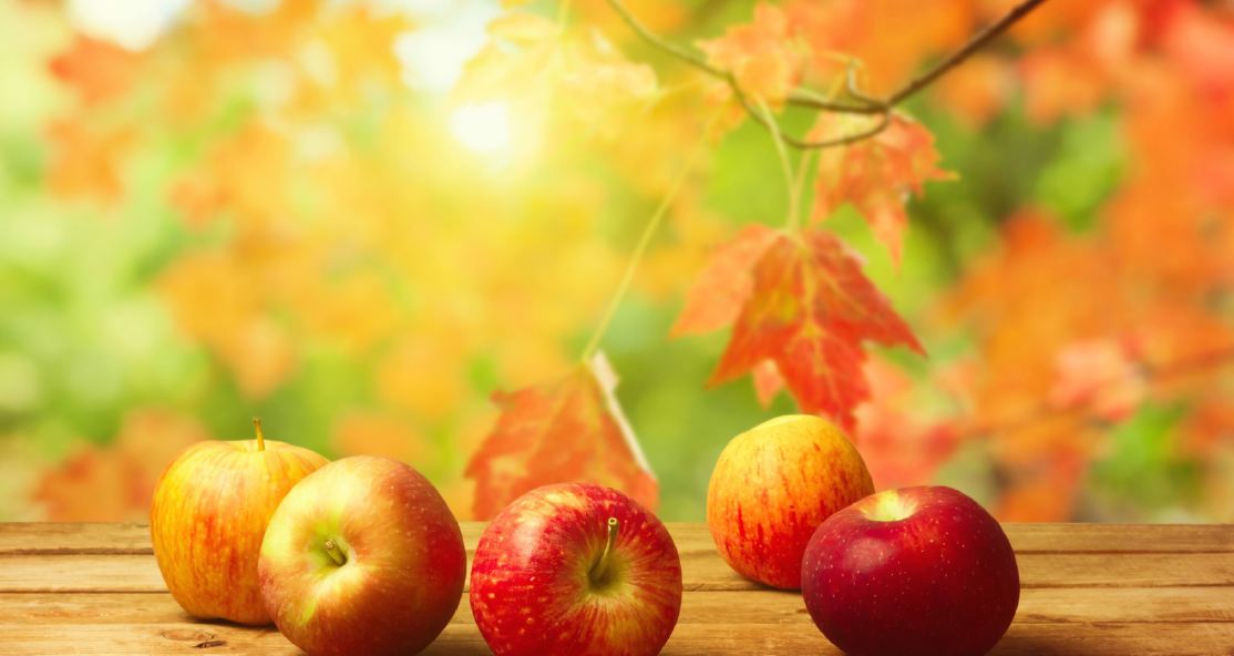 کامنت های مثبت و موثر شما به انتخاب شیلا کیانی990520