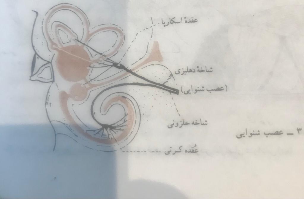فیلم ویژگی‌های آزمون هدف گذاری 6 آذر و14 آذر دوازدهم تجربی
