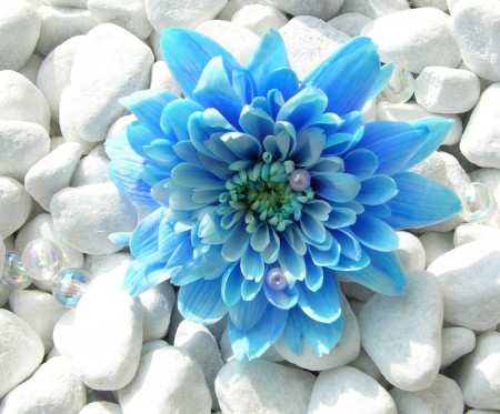 کامنت های مثبت و موثر شما به انتخاب شیلا کیانی99/11/6