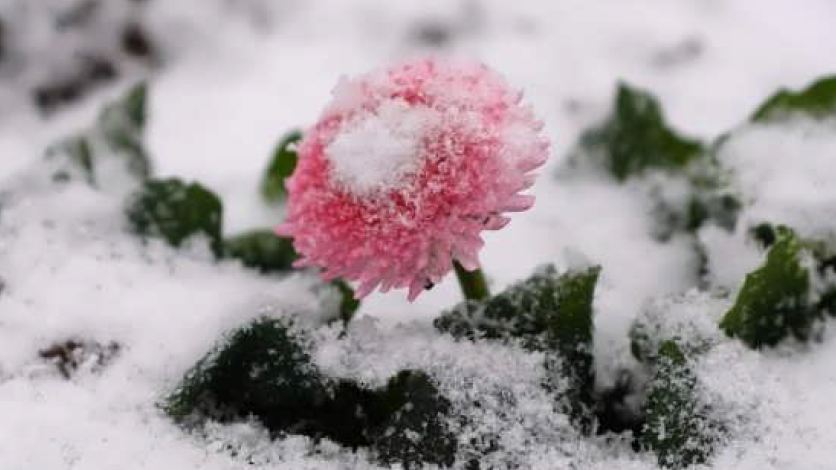 کامنت‌های مثبت و موثر شما به انتخاب شیلا کیانی99/12/2