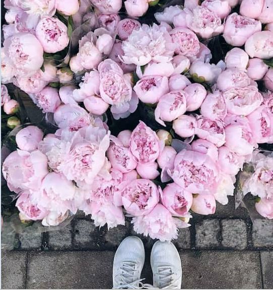 کامنت‌های مثبت و موثر شما به انتخاب شیلا کیانی1400/1/11