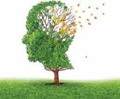 ناهماهنگی شناختی- روان شناسی کنکور و یازدهم انسانی- فاطمه حجتی