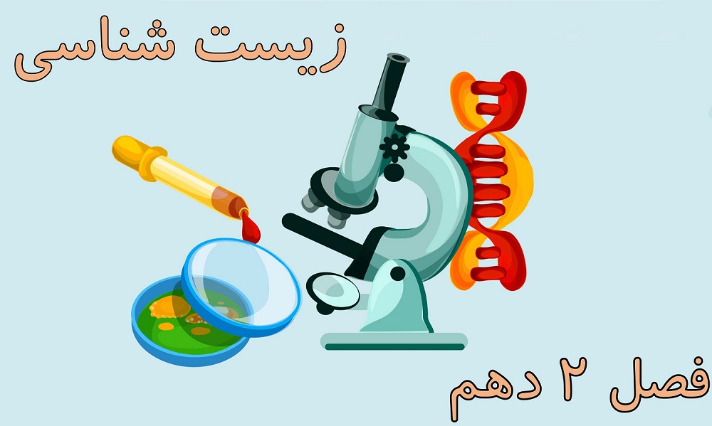 فصل 2 زیست شناسی دهم: همه نکات در مورد غشاء به همراه تست