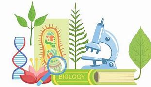 از ماده به انرژی-ساده سازی چرخه ها-سعید شرفی