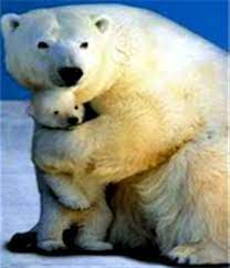 زیست شناسی-حل تست برای آمادگی آزمون 31 اردیبهشت- غلامرضا جمالی